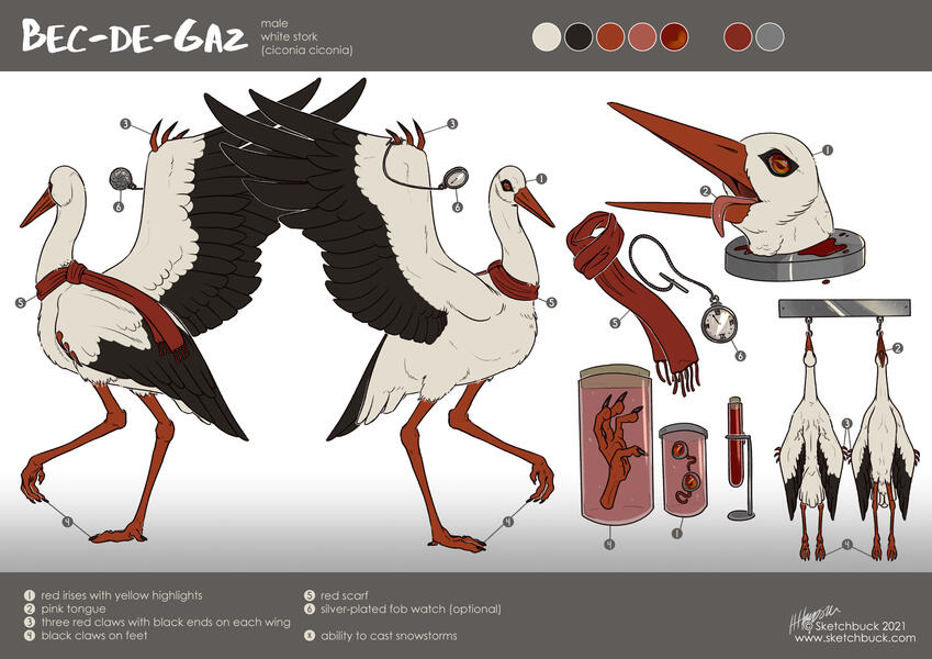 A reference sheet in a scientific study style, with body parts in jars and head on a metal plate. The character is a stork, with a red scarf and pocket watch attached to their clawed wings.