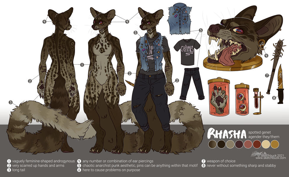 A reference sheet in a scientific study style, with body parts in jars and head on a metal plate. The character is an anthro spotted genet.