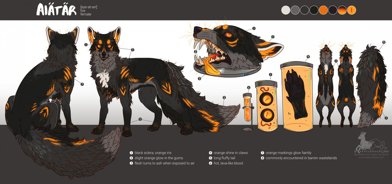 Scientific reference sheet for Aiätär, a fox with shades of grey, with white and burning bright orange markings. The reference shows a rear view of her sitting, and a side view of her standing, looking directly at the viewer. The style of reference is like
