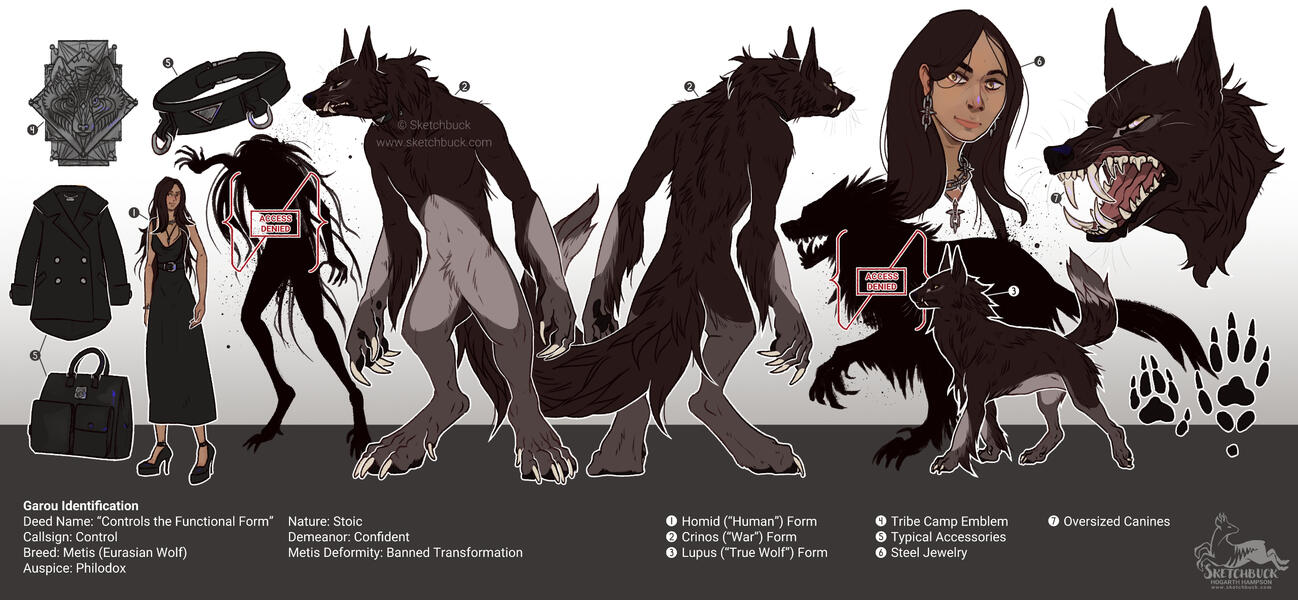 A large reference sheet of a werewolf character, featuring a were form, human form, and wolf form, with two additional forms unavailable and 'restricted' in shadowy shapes. The were/wolf has bold black and grey markings sweeping across the body, and the hu