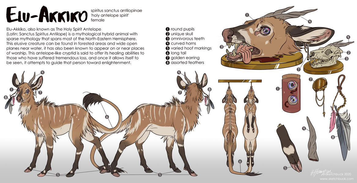 A reference sheet of a fantasy antelope species. They have tan fur with white and dark markings, and white stripes down their spine. Scientific study sheet with hanging pelts and body parts in jars in a comedic style. A reference sheet of a fantasy antelop